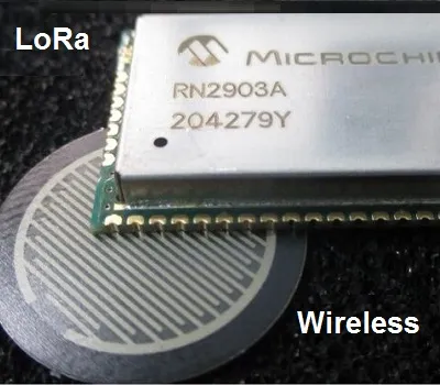 Schede Elettroniche LoRa